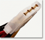 molex.gif
